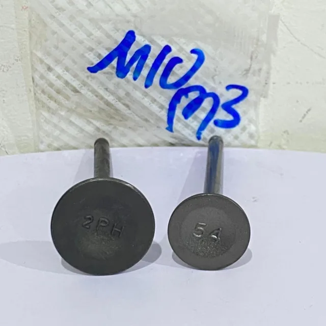 PAYUNG KLEP SET KLEP VALVE IN EX MIO M3 S Z SOUL GT 125