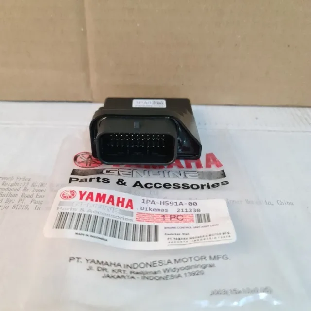 ECU ECM CDI VIXION NEW 1PA