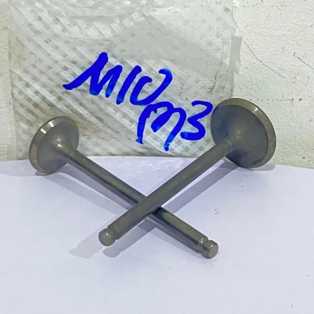 PAYUNG KLEP SET KLEP VALVE IN EX MIO M3 S Z SOUL GT 125