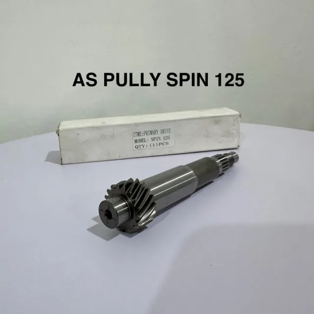 AS PULLY POLI PULI PULLEY SPIN 125