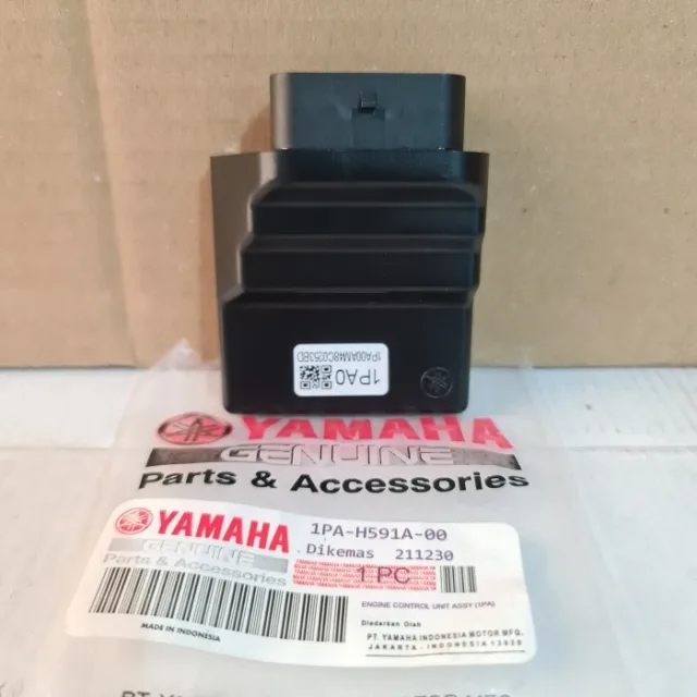 ECU ECM CDI VIXION NEW 1PA