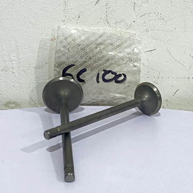 PAYUNG KLEP SET KLEP VALVE IN EX GL 100 GL100