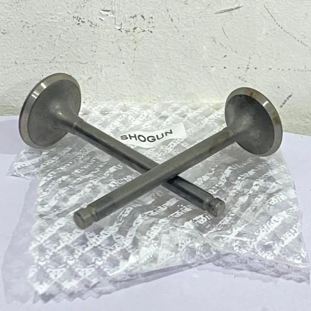 PAYUNG KLEP SET KLEP VALVE IN EX SHOGUN 110 KEBO LAMA