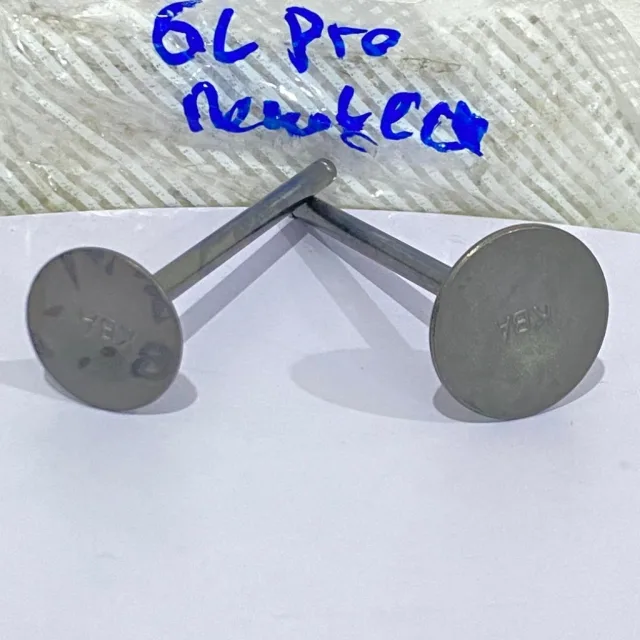 PAYUNG KLEP SET IN EX GL PRO GLPRO NEOTECH
