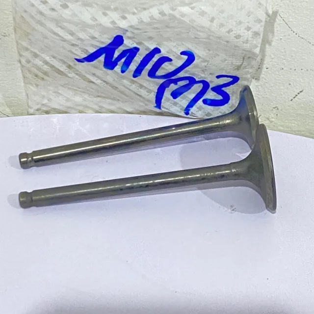 PAYUNG KLEP SET KLEP VALVE IN EX MIO M3 S Z SOUL GT 125