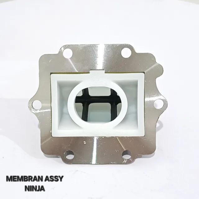 MEMBRAN ASSY VALVE SET KAWASAKI NINJA 150 R RR