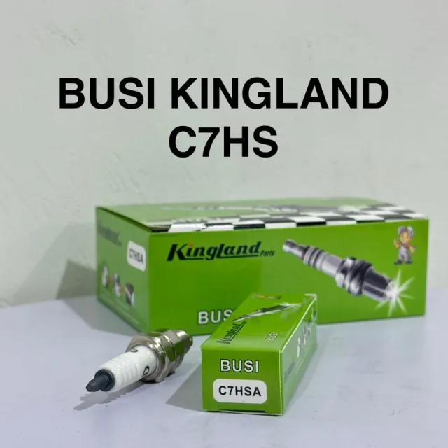 HRG PER 10 BIJI BUSI KINGLAND C7HSA SUPRA JUPITER GRAND MIO J VEGA SMASH