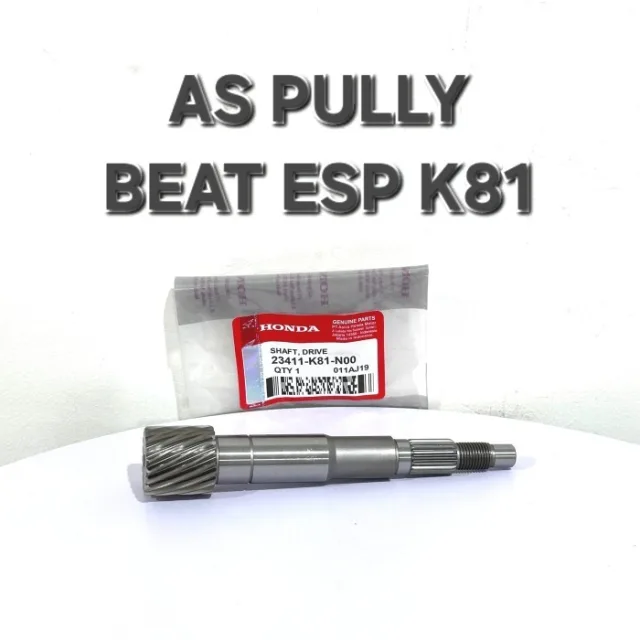 AS PULLY PULLEY PULI POLY BEAT ESP K81