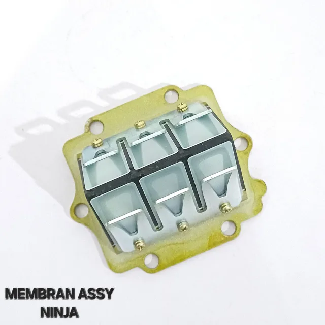 MEMBRAN ASSY VALVE SET KAWASAKI NINJA 150 R RR