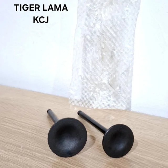 PAYUNG KLEP SET TIGER LAMA OLD