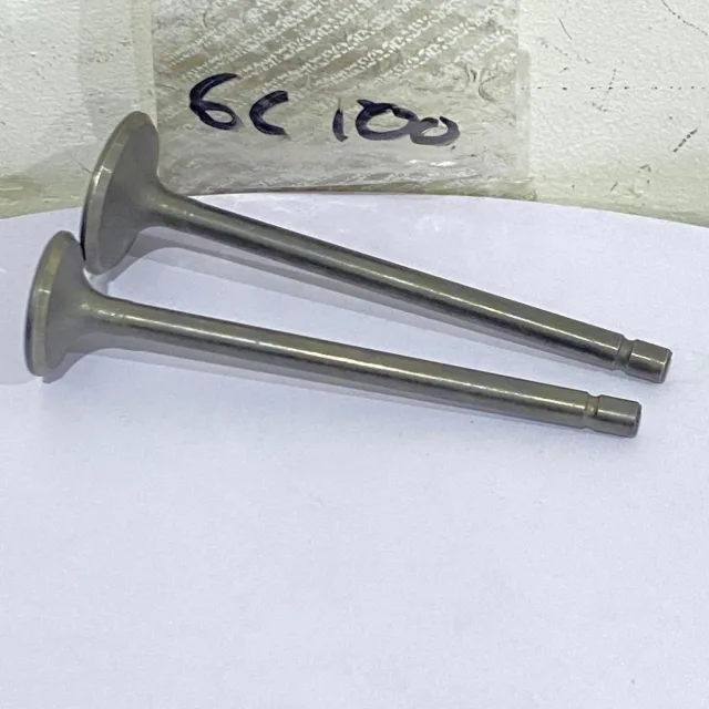 PAYUNG KLEP SET KLEP VALVE IN EX GL 100 GL100