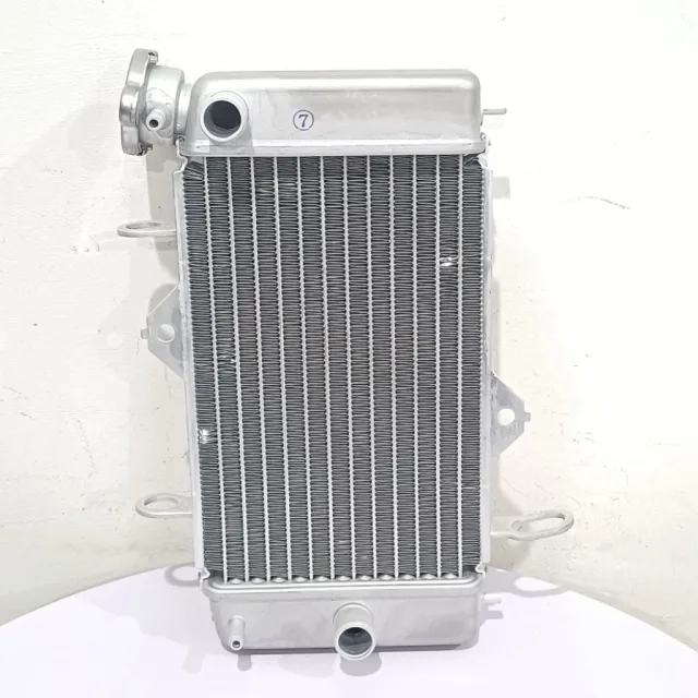 RADIATOR ASSY MOTOR VIXION OLD LAMA 3CI 3C1