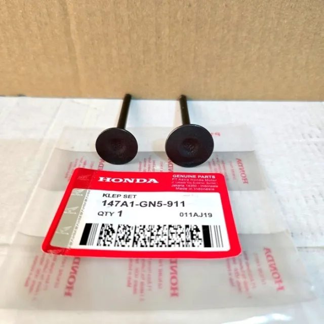 PAYUNG KLEP SET KLEPSET VALVE GRAND SUPRA LEGENDA GN5