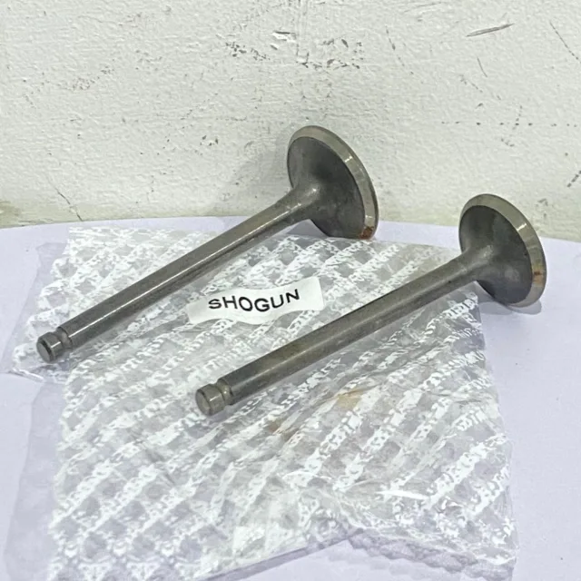 PAYUNG KLEP SET KLEP VALVE IN EX SHOGUN 110 KEBO LAMA