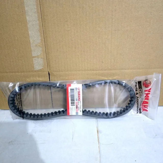 VANBELT V-BELT ONLY FAZZIO FAZIO B3Y