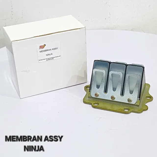 MEMBRAN ASSY VALVE SET KAWASAKI NINJA 150 R RR