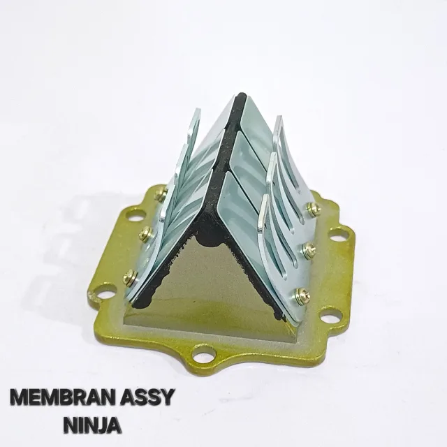 MEMBRAN ASSY VALVE SET KAWASAKI NINJA 150 R RR