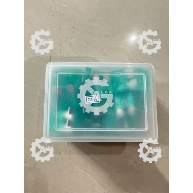 HRG PER 100 BIJI FUSE SEKRING TANCAP DX BESAR 30A PER 100 PCS