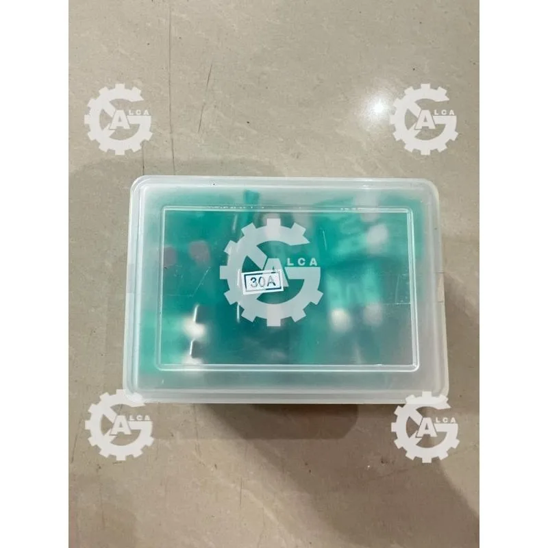 HRG PER 100 BIJI FUSE SEKRING TANCAP DX BESAR 30A PER 100 PCS
