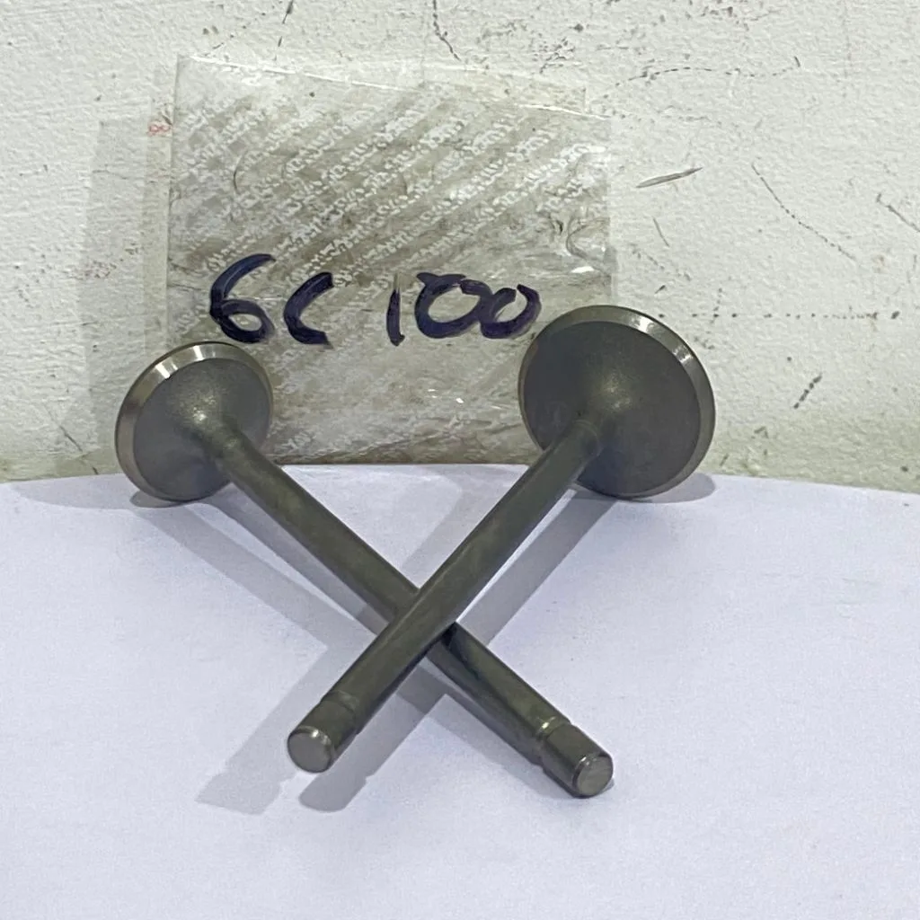 PAYUNG KLEP SET KLEP VALVE IN EX GL 100 GL100