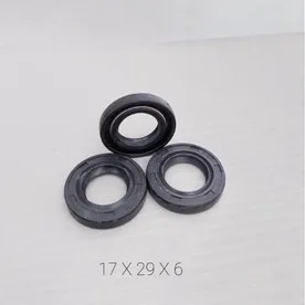 HRG PER 10 BIJI SEAL SIL GEAR GIR DEPAN GRAND 17 X 29 X 5 NOK