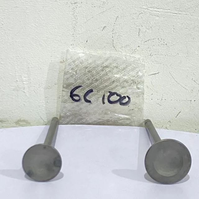 PAYUNG KLEP SET KLEP VALVE IN EX GL 100 GL100